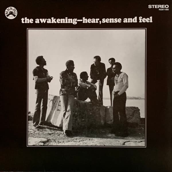AWAKENING, THE - HEAR, SENSE AND FEEL (BLACK SWIRL)