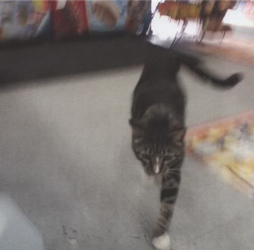 SUN KIL MOON - I ALSO WANT TO DIE IN NEW ORLEANS