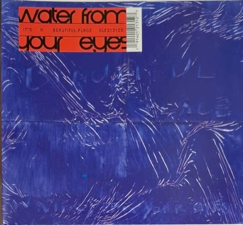 WATER FROM YOUR EYES - IT'S A BEAUTIFUL PLACE
