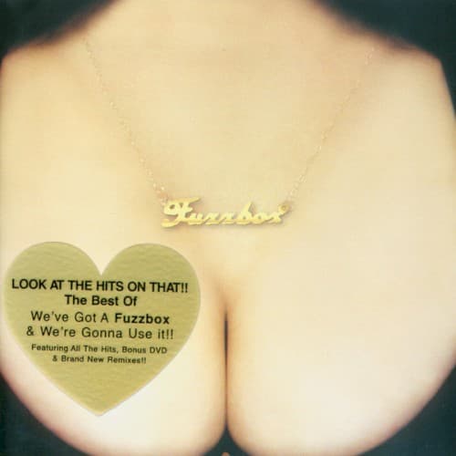FUZZBOX - LOOK AT THE HITS ON THAT (BONUS DVD)