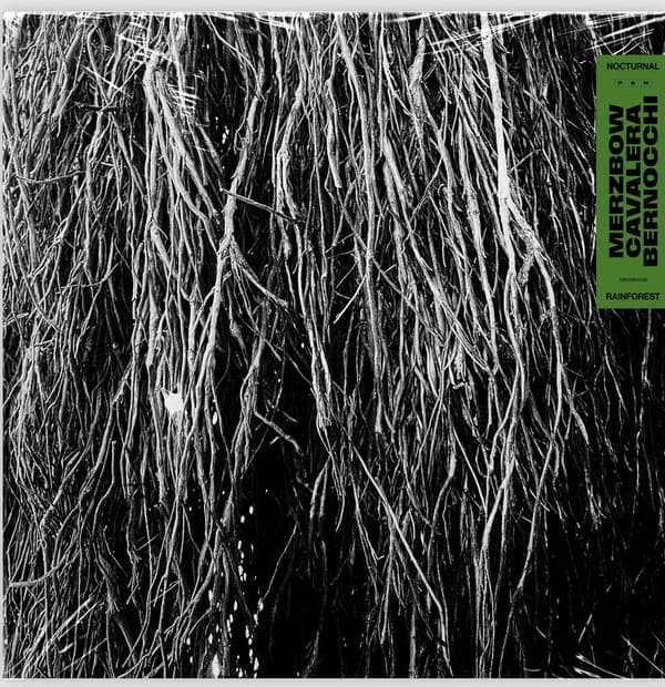 BERNOCCHI,ERALDO / CAVALERA,IGGOR / MERZBOW - NOCTURNAL RAINFOREST