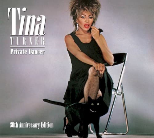 TURNER,TINA - PRIVATE DANCER: 30TH ANNIVERSARY EDITION