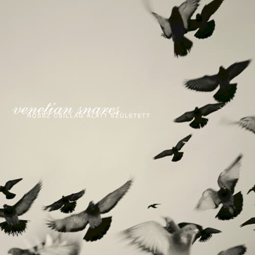 VENETIAN SNARES - ROSSZ CSILLAG ALLAT SZULETETT