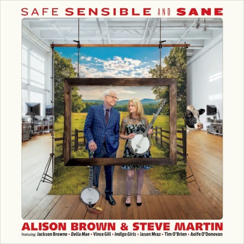 BROWN, ALISON & MARTIN, STEVE - SAFE SENSIBLE AND SANE