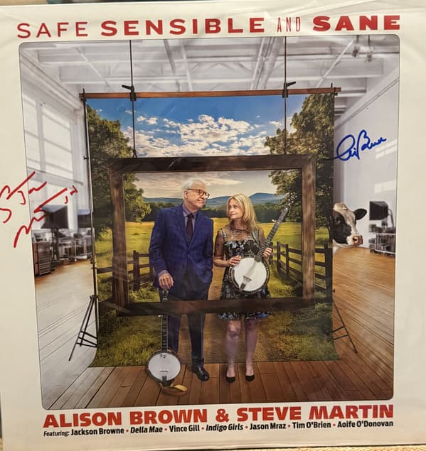 BROWN,ALISON / MARTIN,STEVE - SAFE SENSIBLE & SANE