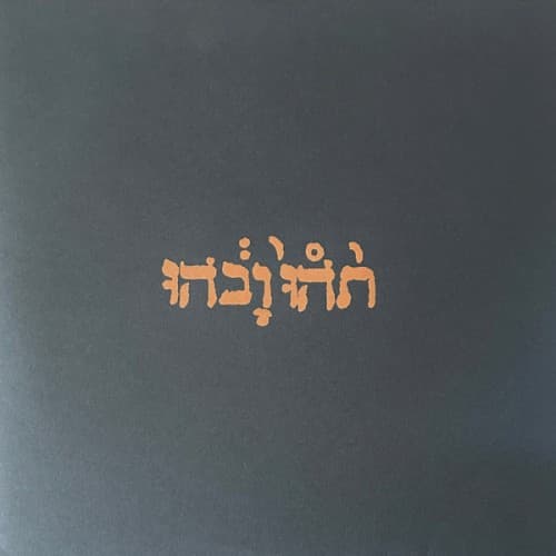 GODSPEED YOU BLACK EMPEROR - SLOW RIOT FOR NEW ZERO KANADA (EP)