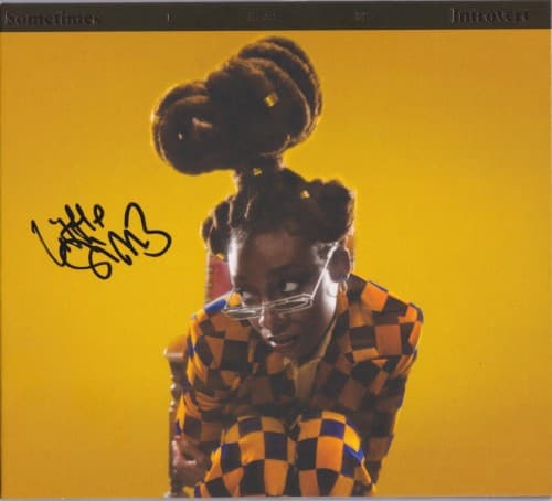 LITTLE SIMZ - SOMETIMES I MIGHT BE INTROVERT (DIG)