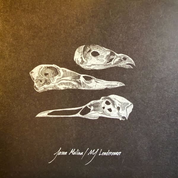 MOLINA, JASON / LENDERMAN, MJ - THE LAST 3 HUMAN WORDS DEMO / JUST BE SIMPLE
