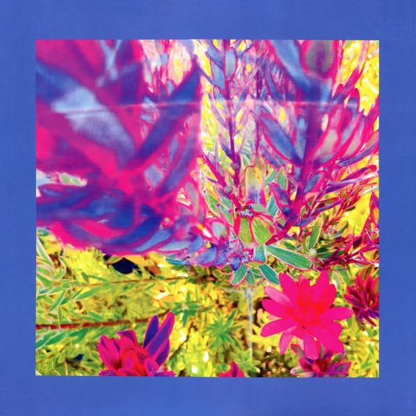 REDS, PINKS & PURPLES, THE - THE PAST IS A GARDEN I NEVER FED (PINK)