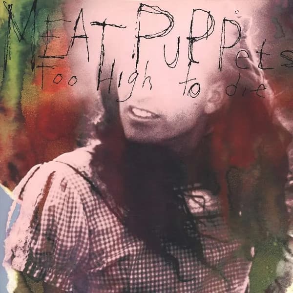 MEAT PUPPETS - TOO HIGH TO DIE (NEON JAZZBERRY)