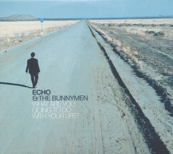 ECHO & BUNNYMEN - WHAT ARE YOU GOING TO DO WITH YOUR LIFE (ANIV)